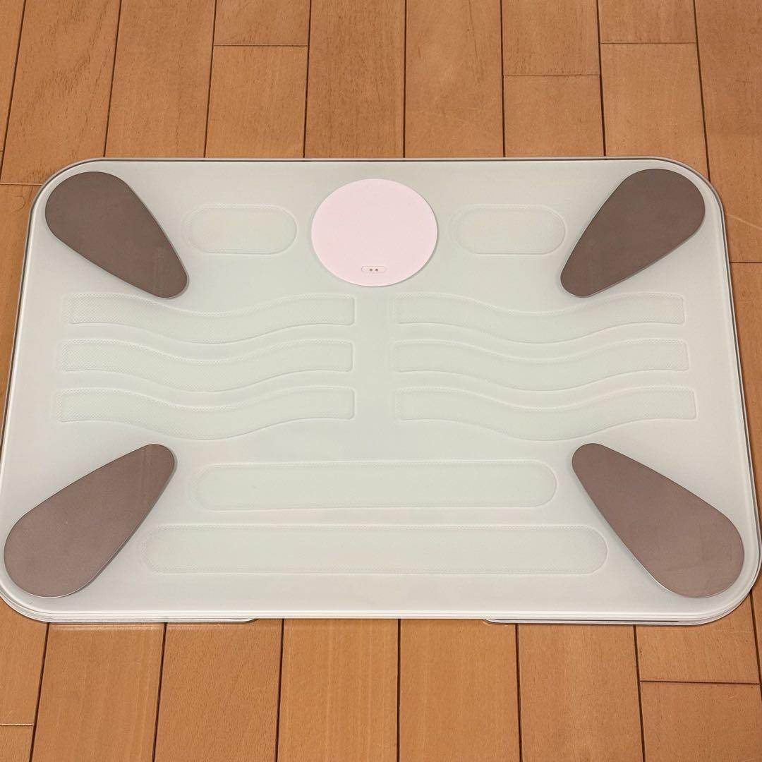 issin Smart Bath Mat 2024年製 SBM24W01LJ
