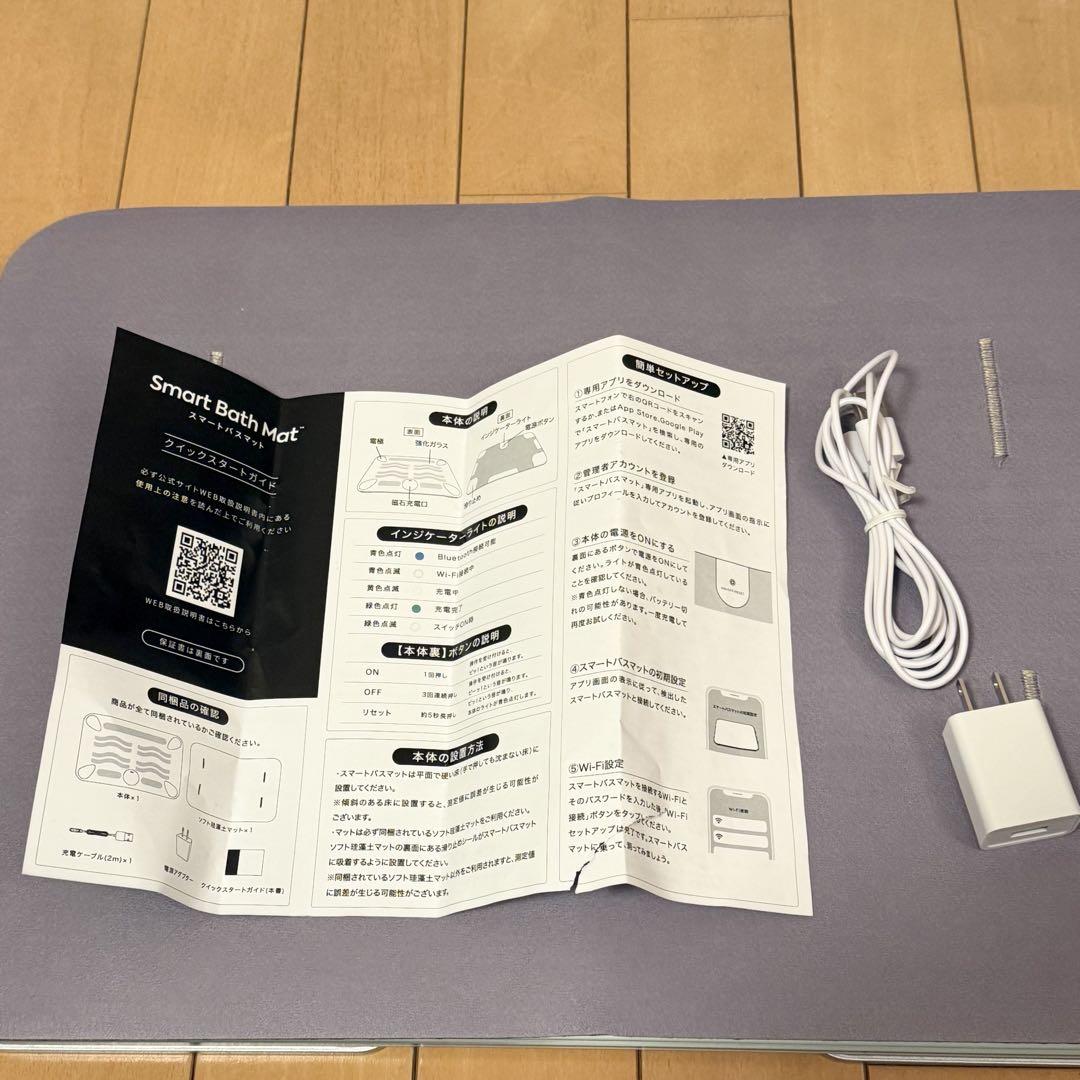 issin Smart Bath Mat 2024年製 SBM24W01LJ