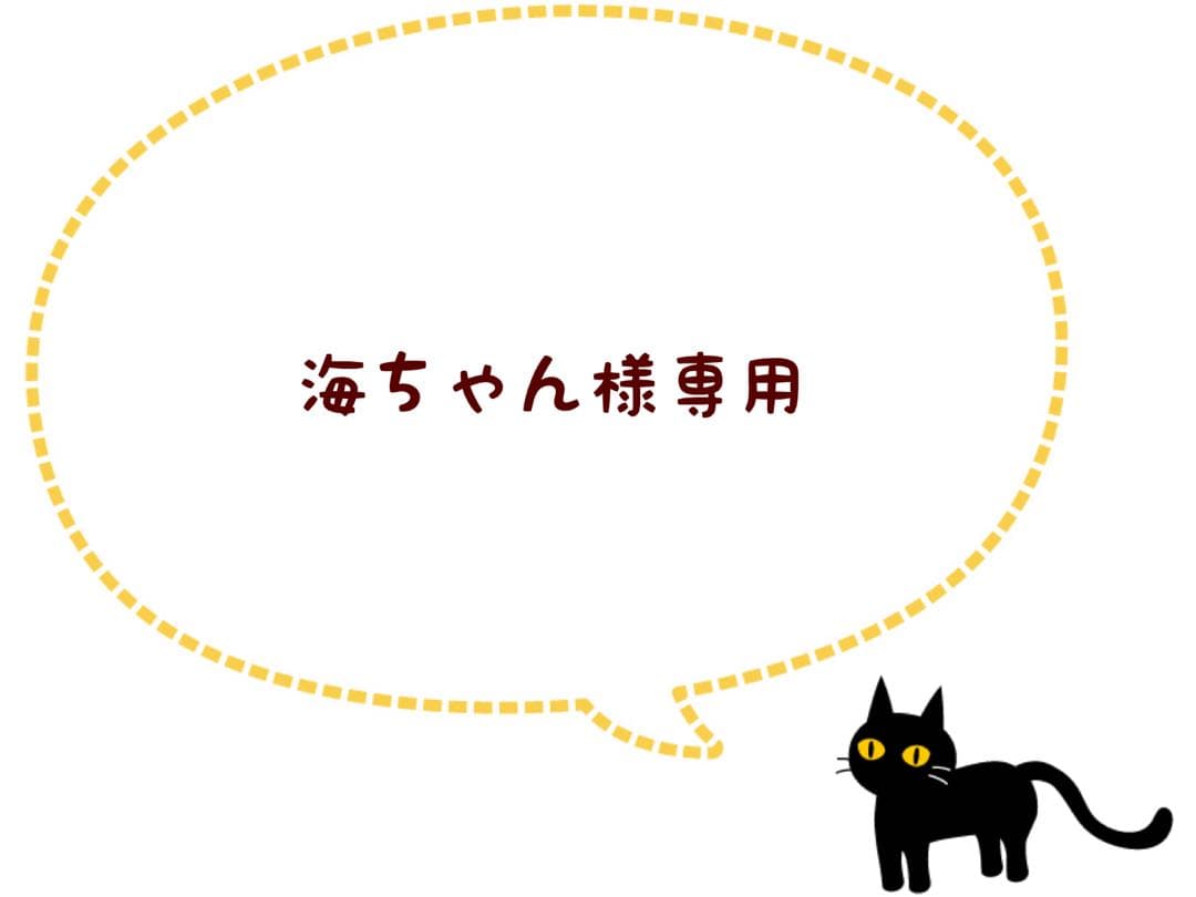 海ちゃん様 リクエスト 5点 まとめ商品
