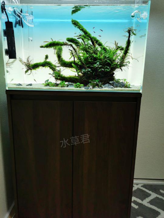水槽ライトスクリーン60cm 36cm メルカリ 水槽ライトスクリーン60cm 36cm メルカリ