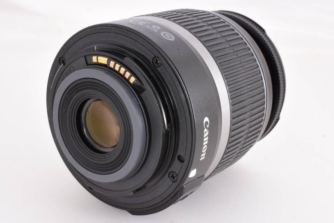 【初心者向】Canon EOS kiss X9 シルバー レンズセット Wifi