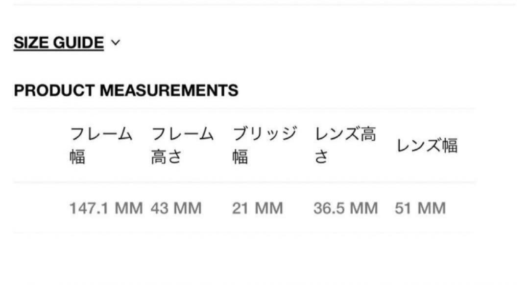 stussy ステューシー OWEN サングラス 画像4