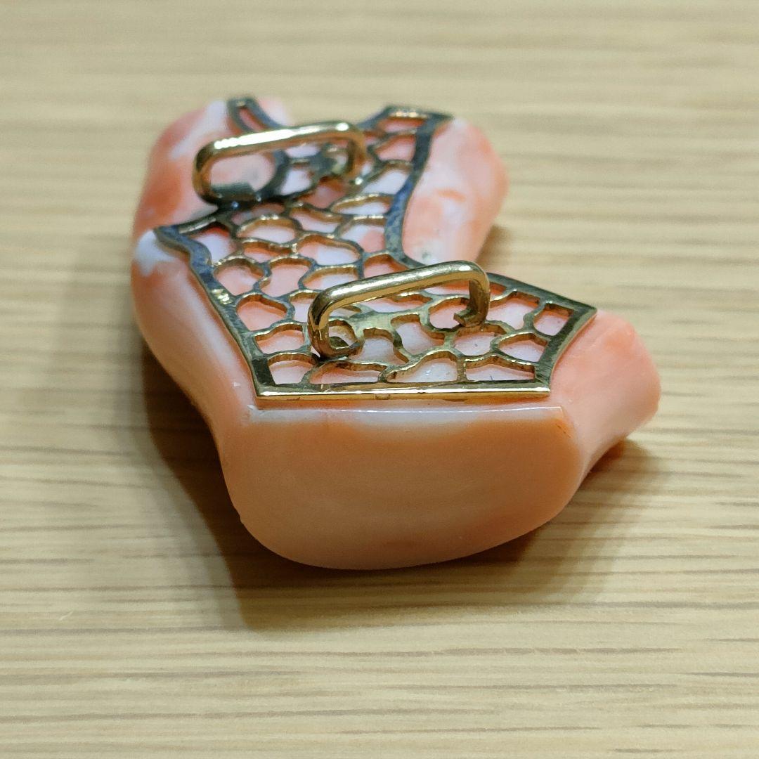 b93 珊瑚