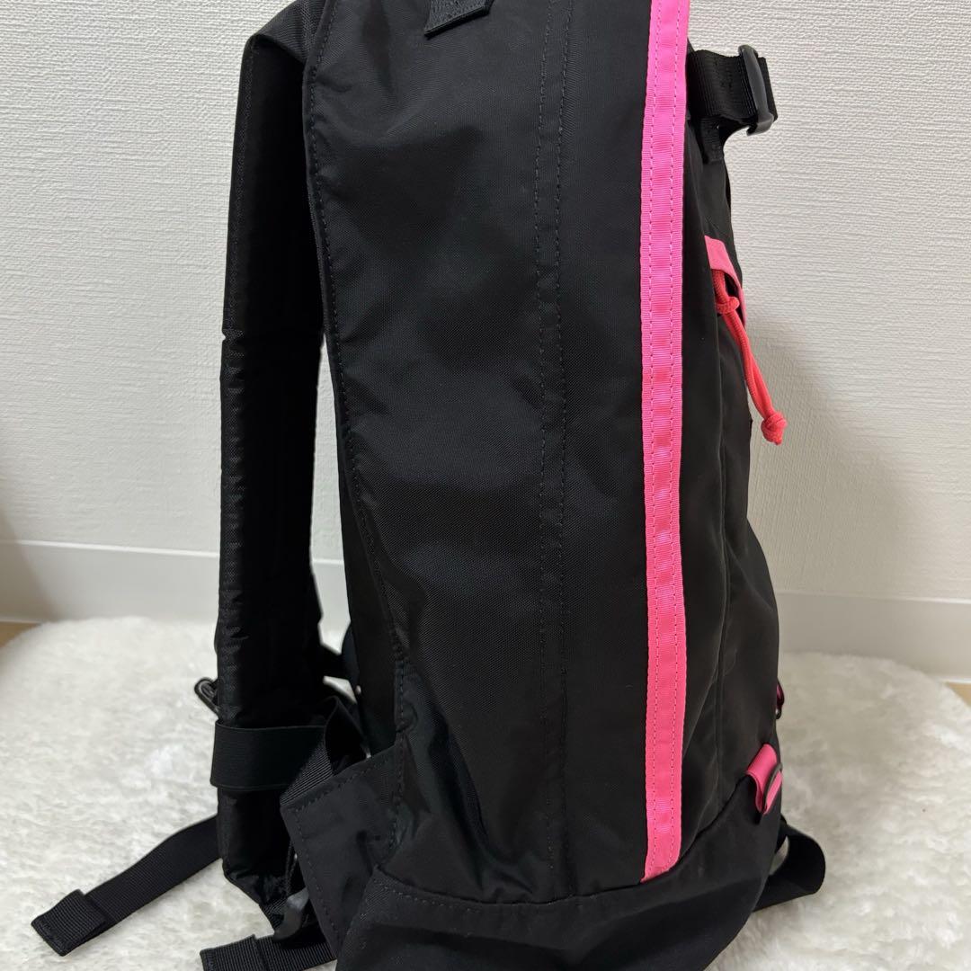 極美品】グレゴリー ファインデイ ネオンピンク リュック バック