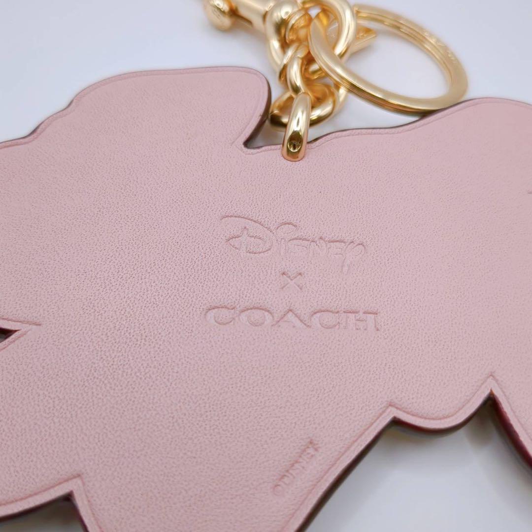 美品 COACH コーチ 101匹わんちゃん ディズニーコラボ キーホルダー Amazon.co.jp: [コーチ] キーホルダー バッグチャーム
