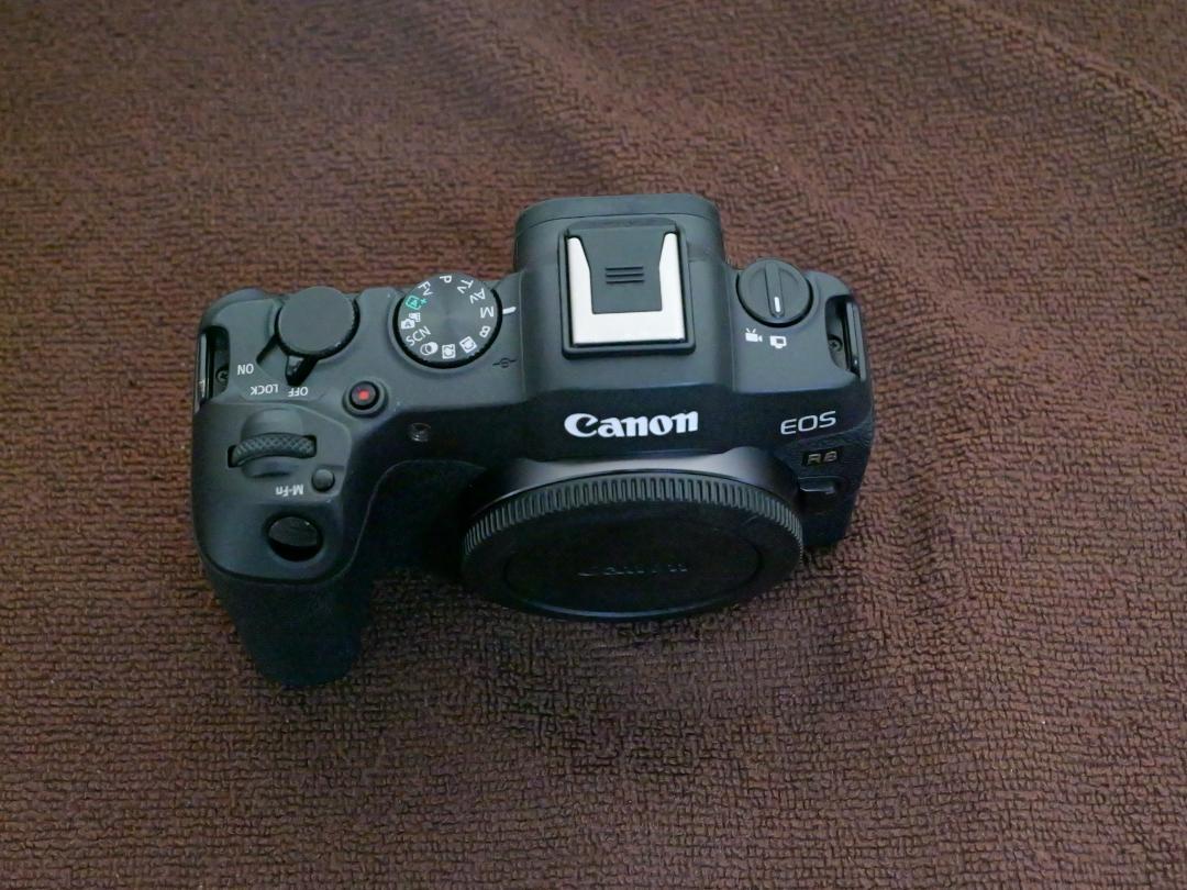 Canon EOS R8 RF24-50mm IS STM レンズキット