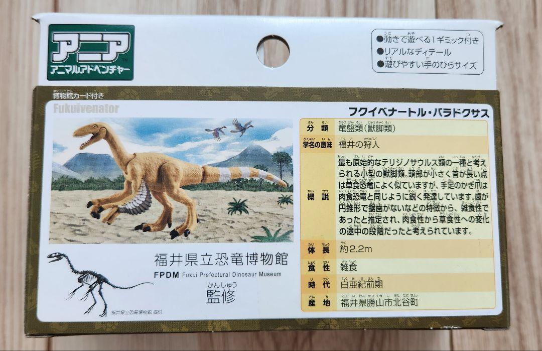 Amazon.co.jp: 福井県立恐竜博物館 オリジナルモデル アニア