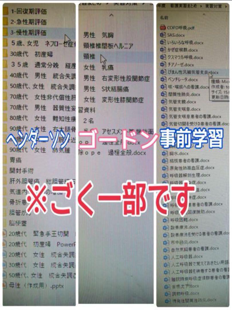 看護学生 実習 関連図 看護計画 行動計画 アセスメント ゴードン