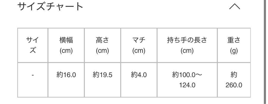 最終値下げ　BAO BAO ISSEY MIYAKE PRISM MATTE