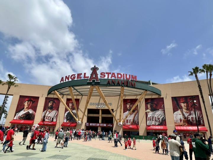 MVPおめでとう！Angels球場で購入した、大谷翔平公式Tシャツ