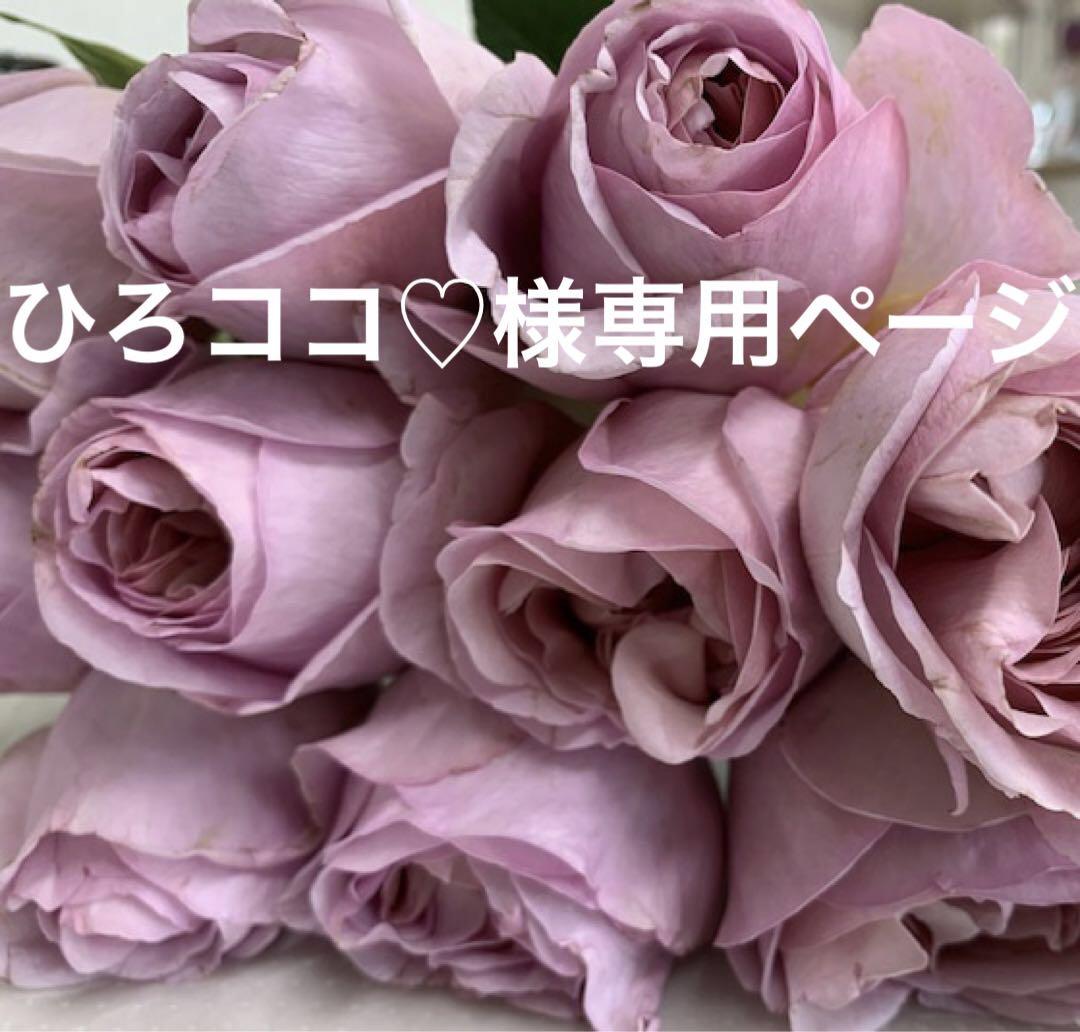 バラ 挿し木苗 切り花品種　ショコラ浪漫 ひろココ♡様専用