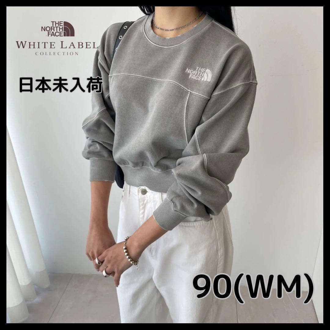 【日本未入荷】THE NORTH FACE デザインスウェット　WM(90) ①