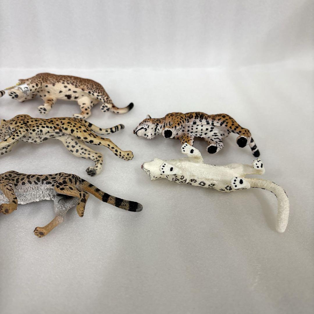シュライヒ コレクタ サファリ パポ チーター ヒョウ クロヒョウ