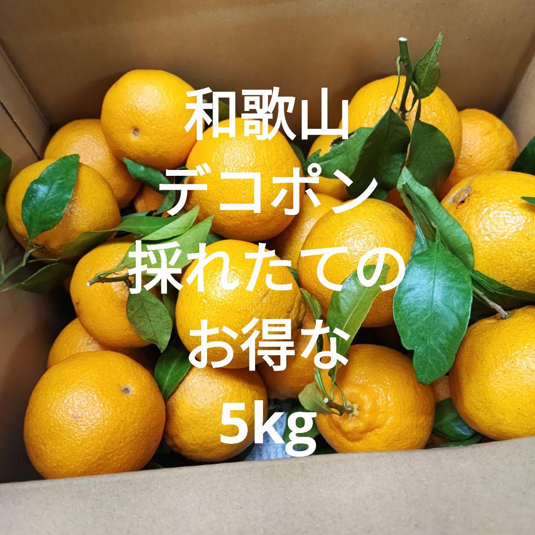 楽天市場】デコポン 20kgの通販