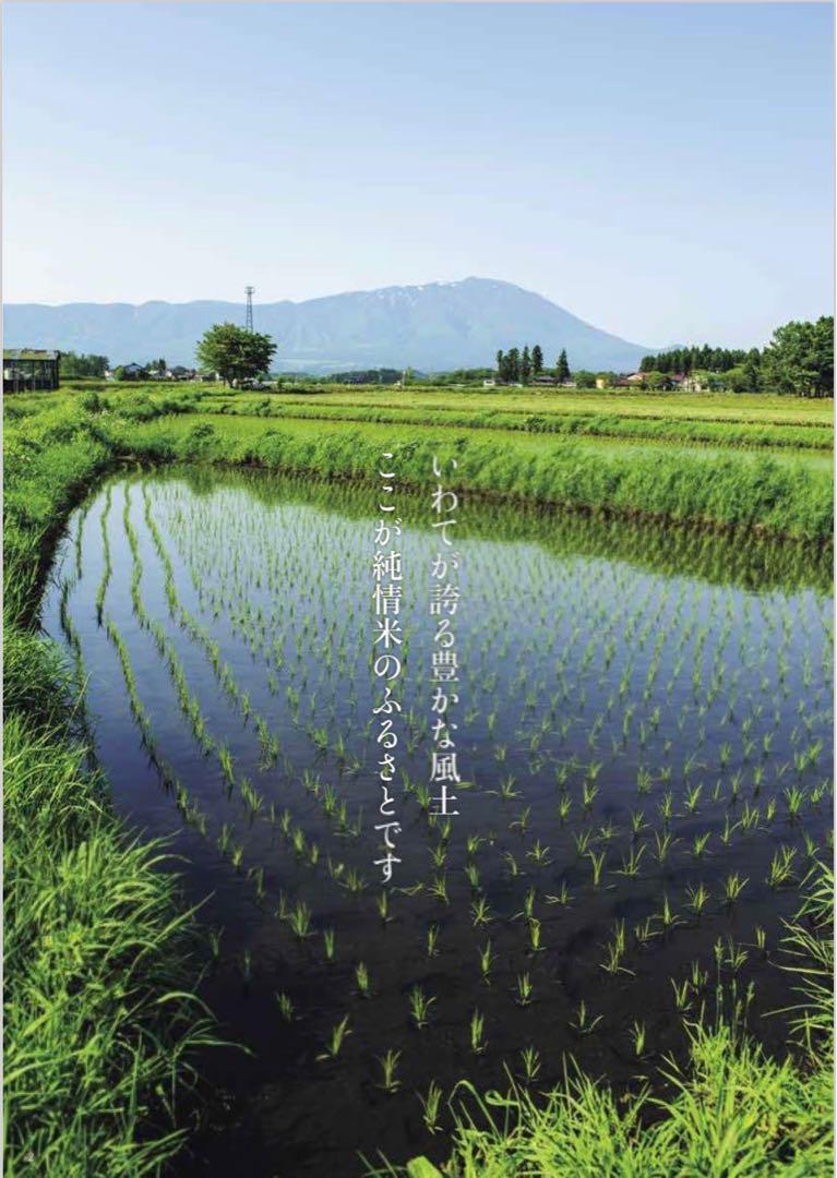 米　白米　精米【令和6年産岩手県産ひとめぼれ20kg】10kg×2