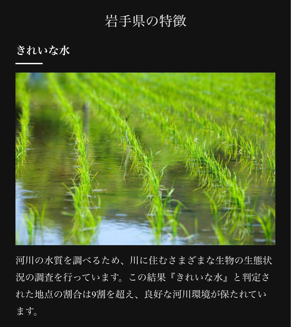 米　白米　精米【令和6年産岩手県産ひとめぼれ20kg】10kg×2