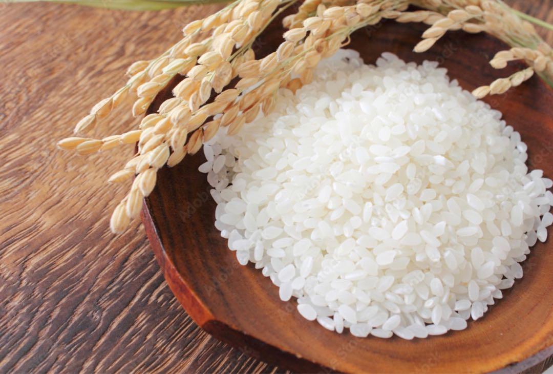 米　白米　精米【令和6年産岩手県産ひとめぼれ20kg】10kg×2