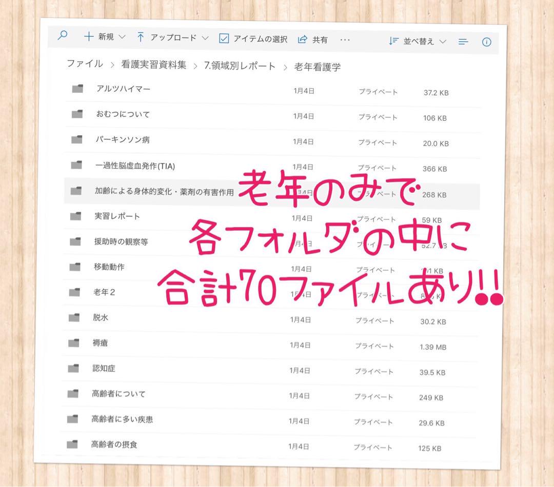看護実習 看護学生 看護学校 手順書 関連図 看護計画 看護過程 国試 資料