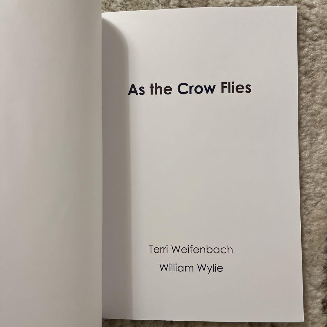 【限定400部】Terri Weifenbach 写真集 限定400部】Terri Weifenbach 写真集 - メルカリ