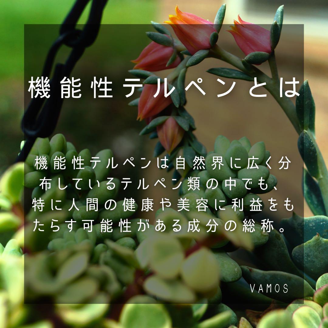 機能性テルペン配合マスターベリー 1.0ml 最高品質 CBN CBP