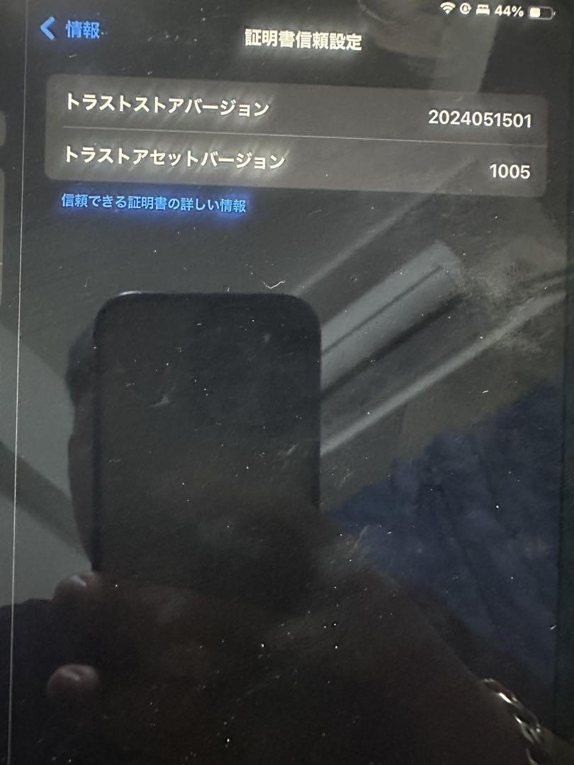 iPad Pro (11インチ) Wi-Fi 128GB第4世代