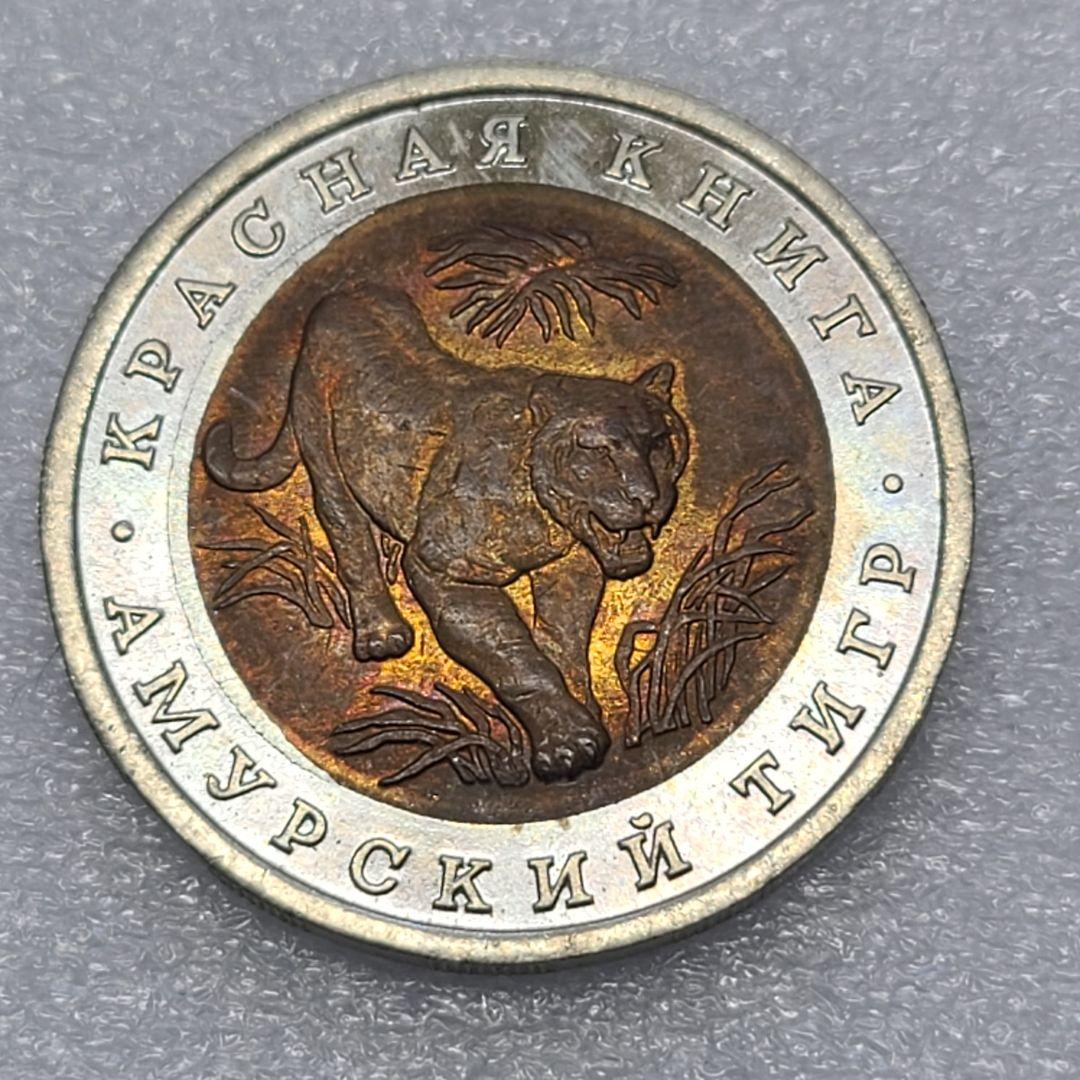 3793. 貴重品 1992年 ロシア アムールトラ 10ルーブル 海外硬貨 4309. 貴重 ? 1992年 ロシア アムールトラ 10ルーブル - メルカリ