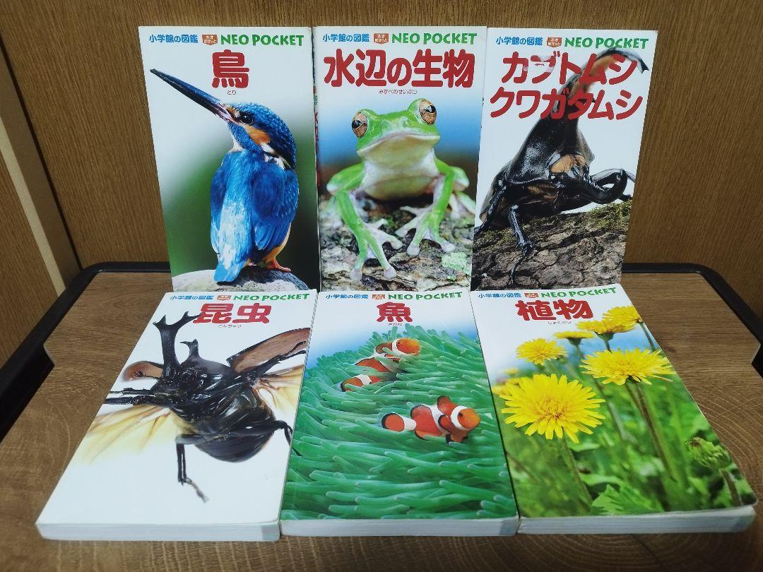 「高評価！」注目のレビュ 小学館の図鑑NEO 6冊セット魚・鳥・花・きのこ他 絵本・児童書