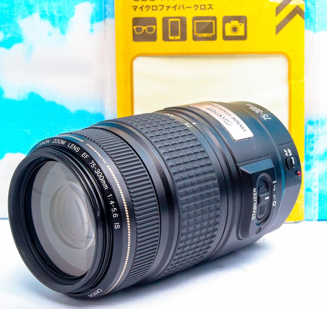 ✨大迫力の望遠レンズ♪✨キヤノン Canon EF 75-300mm