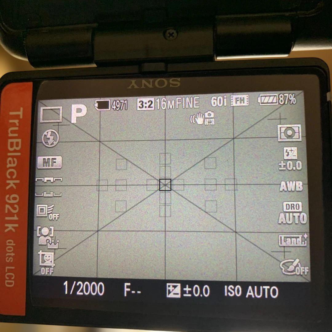 SONY α57 + SIGMA 大三元ズーム