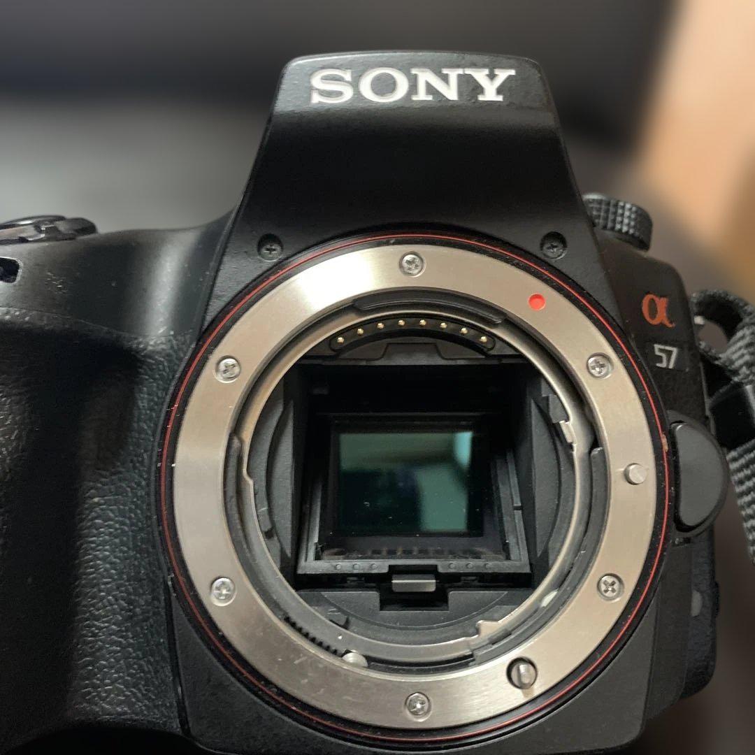 SONY α57 + SIGMA 大三元ズーム