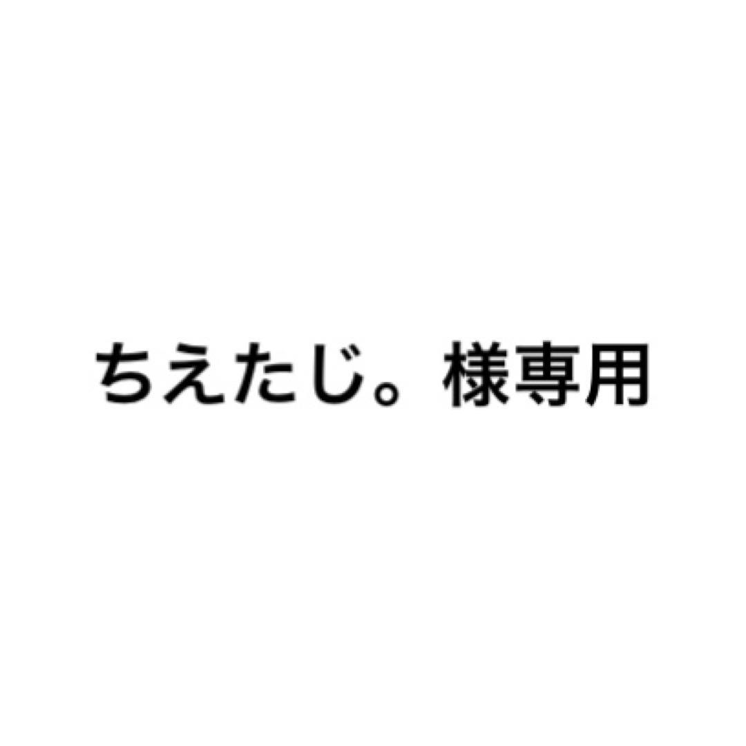 ちえたじ。様専用