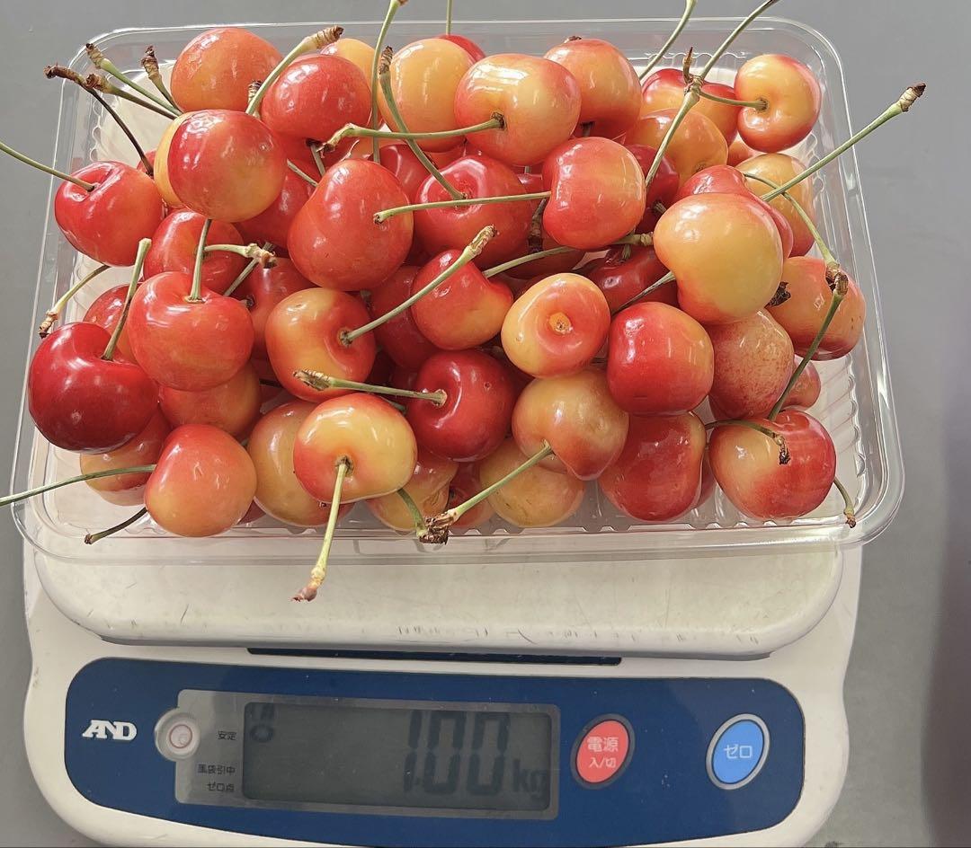 オービル農園　最高級レーニアチェリー　1kg さくらんぼ　チェリー