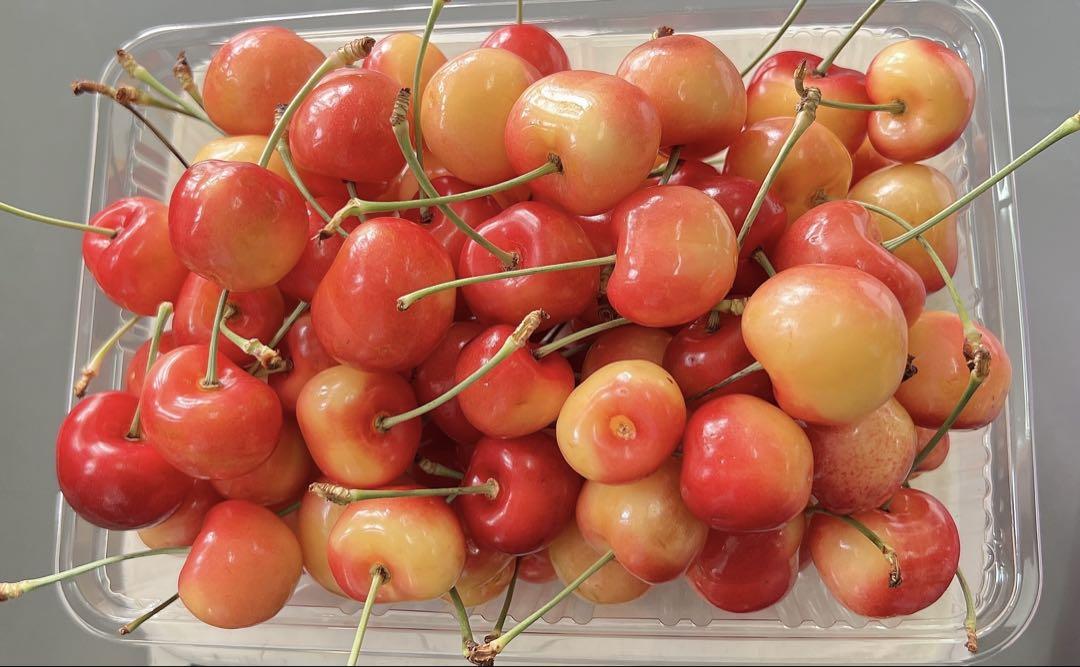 オービル農園　最高級レーニアチェリー　1kg さくらんぼ　チェリー