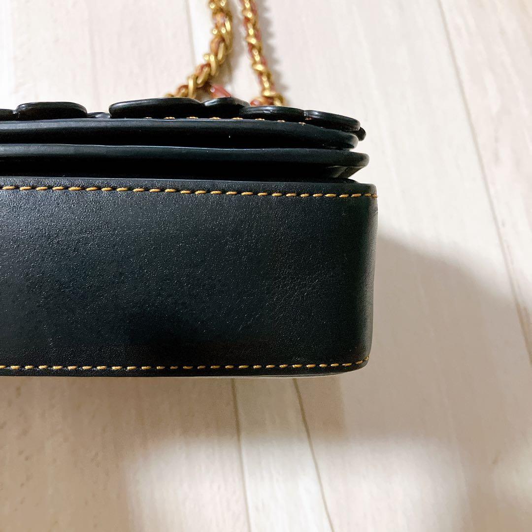 コーチ COACH ショルダーバッグ ディンキー ティーローズ チェーン コーチ COACH ショルダーバッグ ディンキー ティーローズ チェーン