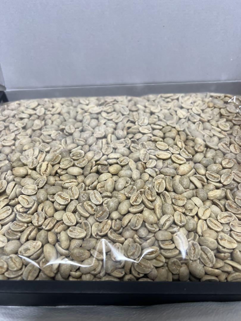 ①生豆　ハワイコナ　カンシーノファミリープライム　1kg ロット2233603 オンライン食品・飲料・酒 - ①生豆 ハワイコナ カンシーノ