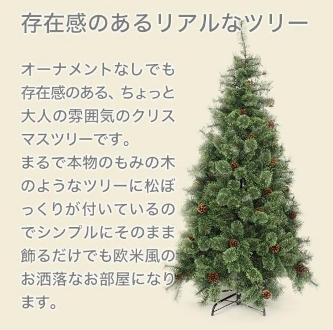 松ぼっくり付き目立った傷や汚れなし