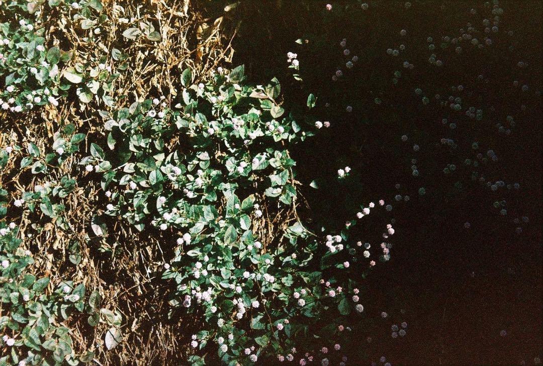 【ジャンク】CONTAX TVS シルバー フィルムカメラ