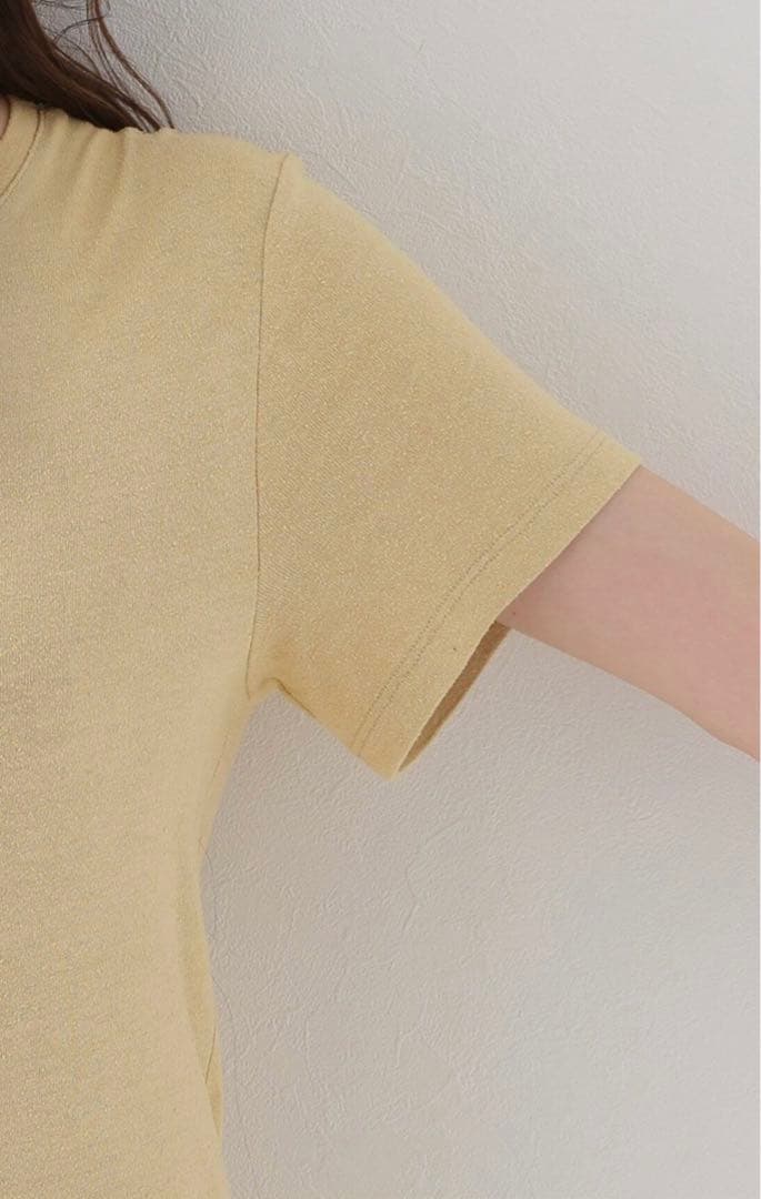 BASERANGE/ベースレンジ　シルクTシャツ　イエロー