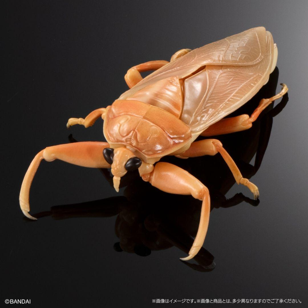 いきもの大図鑑アドバンス　水生昆虫タガメ　ディスプレイスタンドセット