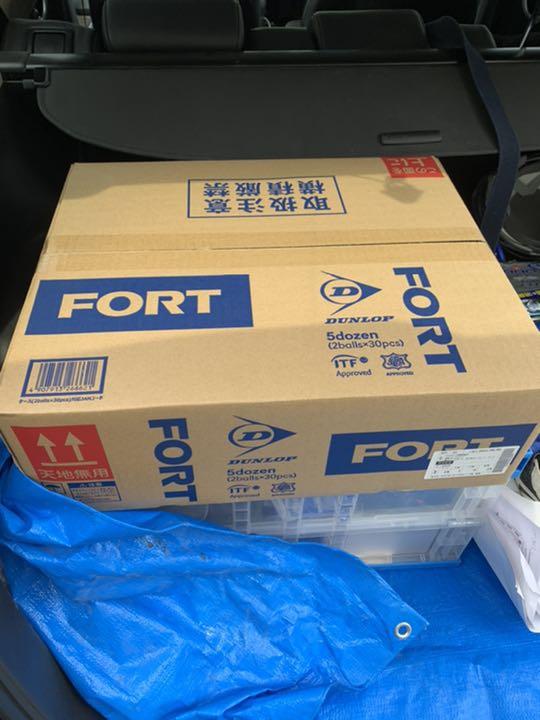 DUNLOP 硬式テニスボールFORTテニスボール2球入×30ボトル(60球) DUNLOP 硬式テニスボールFORTテニスボール2球入×30ボトル(60球)
