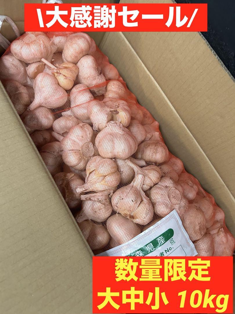 【早い者勝ち】青森県産 にんにく 大中小 10kg 福地ホワイト 加工野菜