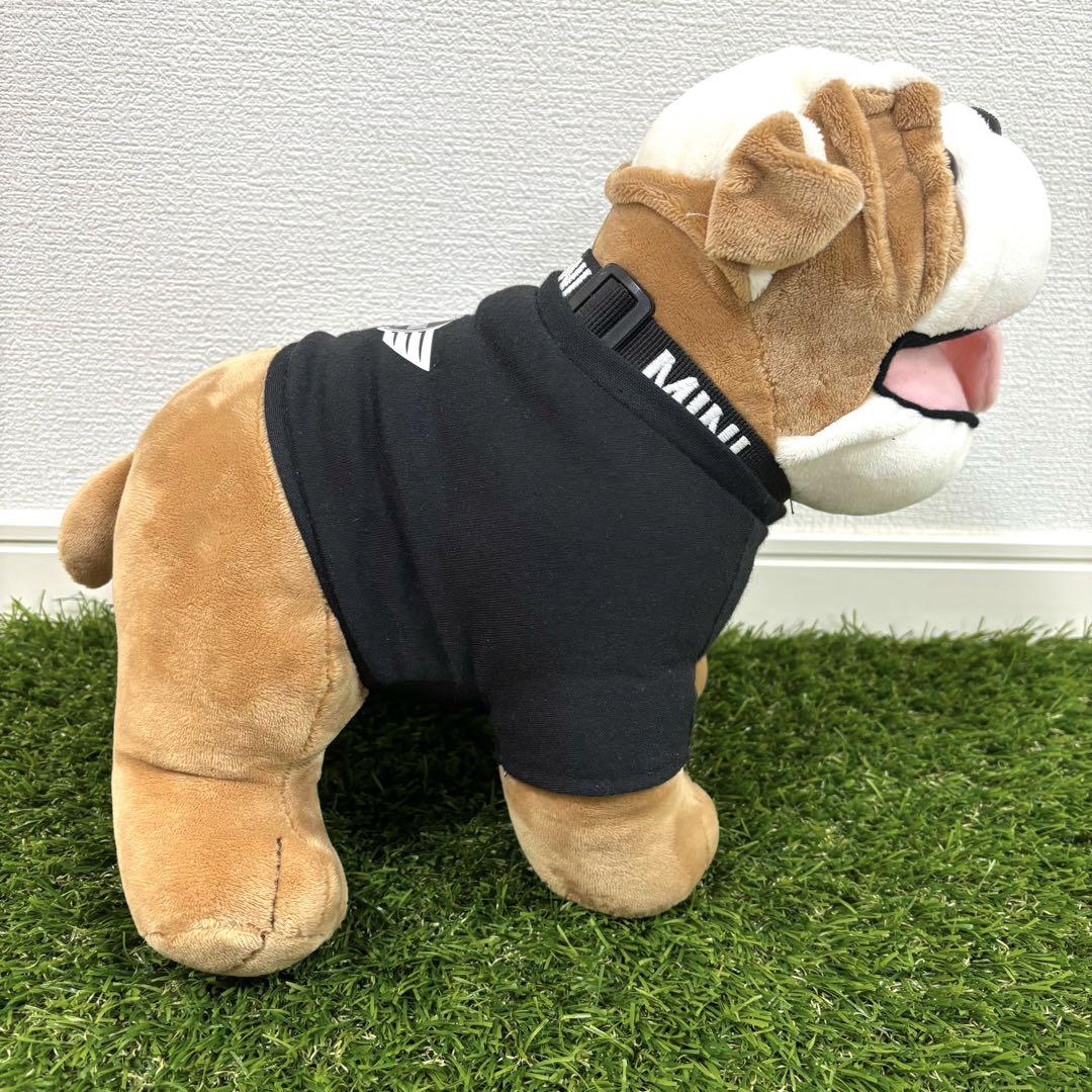 2匹セット