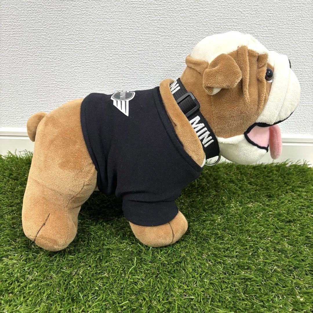 2匹セット