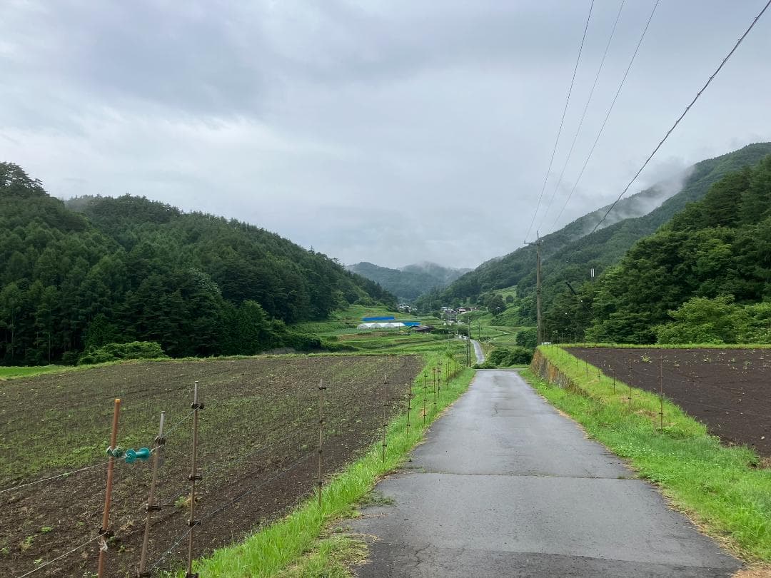 百花蜜 1000g 2本 長野県産 国産蜂蜜 はちみつ セイヨウミツバチ 百花蜜 1000g 2本 長野県産 国産蜂蜜 はちみつ セイヨウミツバチ