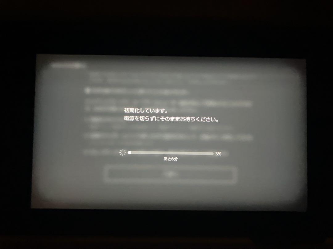 任天堂Switch  Switchケース　マイクロSD
