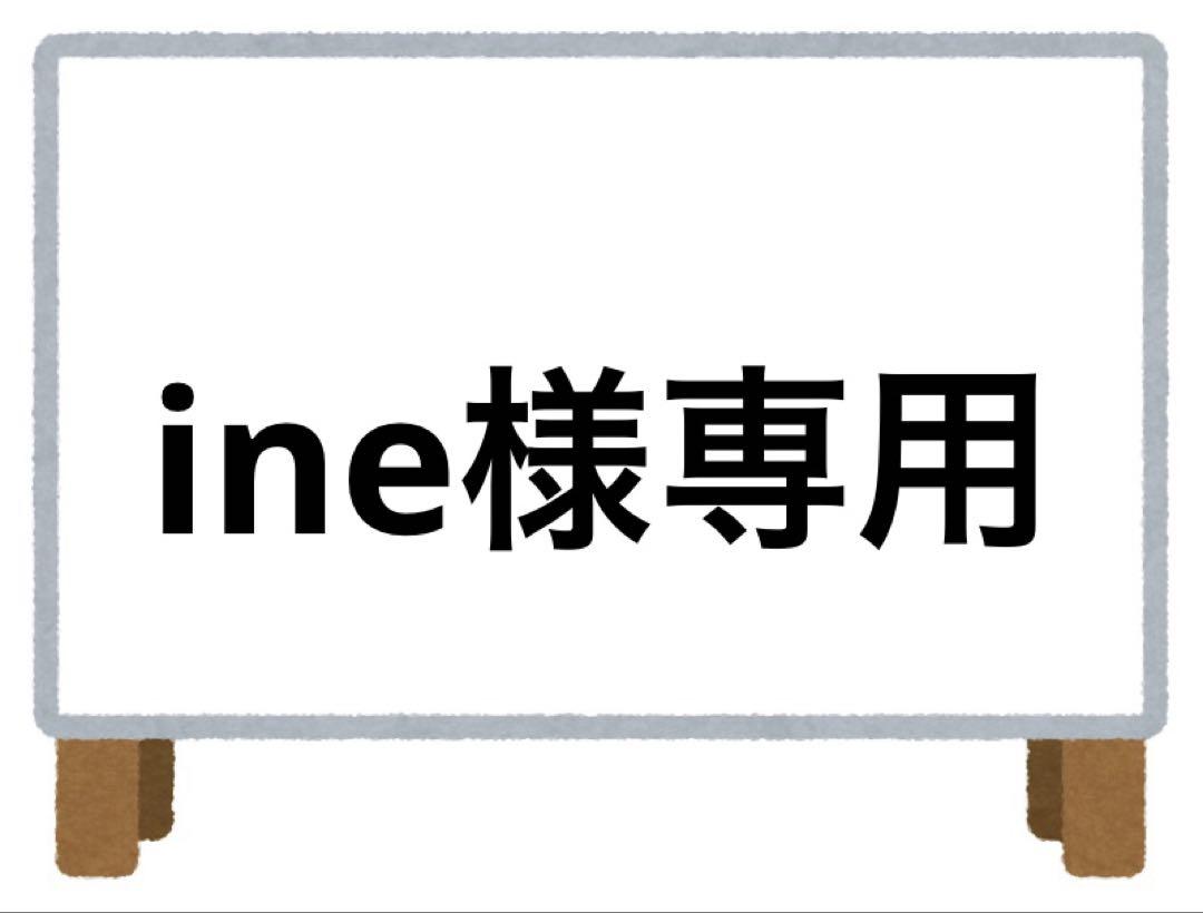 ine様 リクエスト 2点 まとめ商品