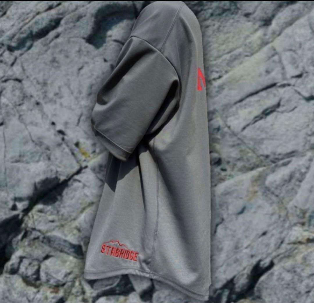 Marmot グレー Tシャツ