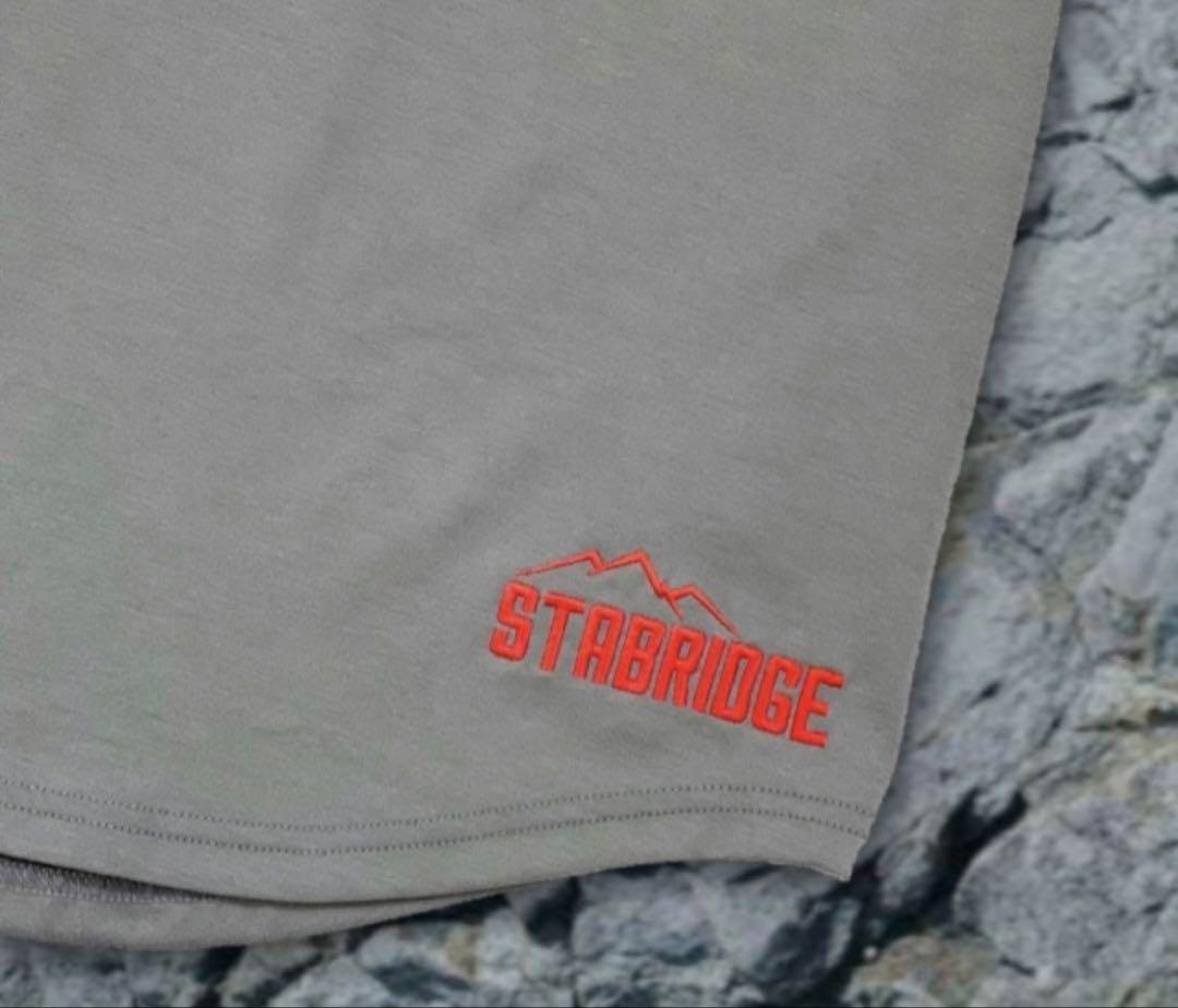 Marmot グレー Tシャツ