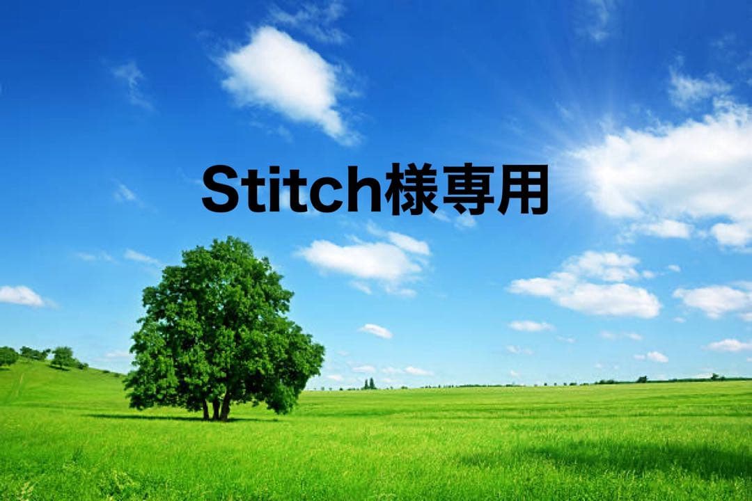 Stitch様専用 freeロゴ