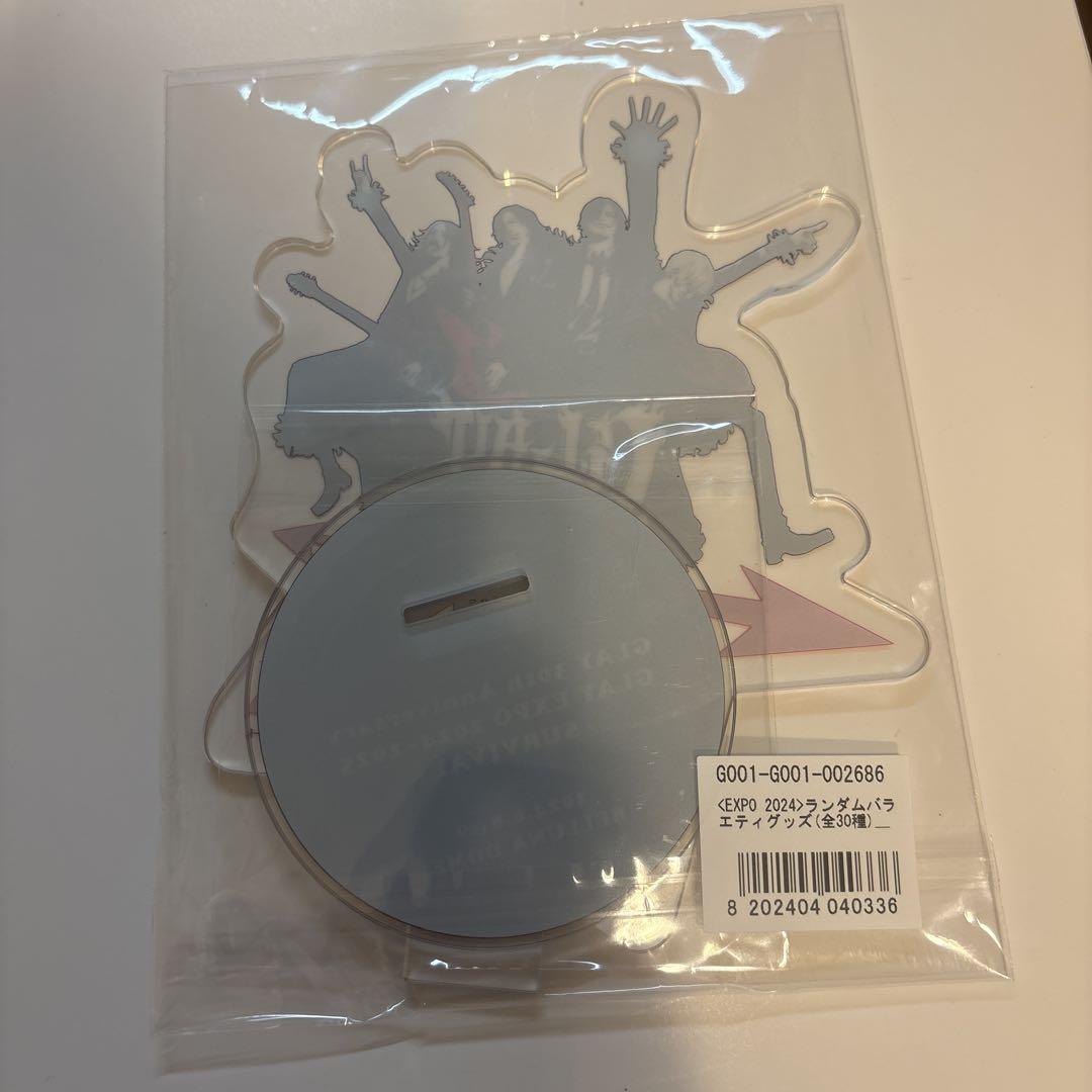 GLAY EXPO2024 ランダムバラエティグッズ アクリルスタンド大当たり